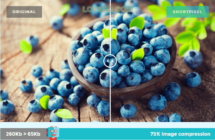 optimize picture - Wordpress网站如何优化图片 -1