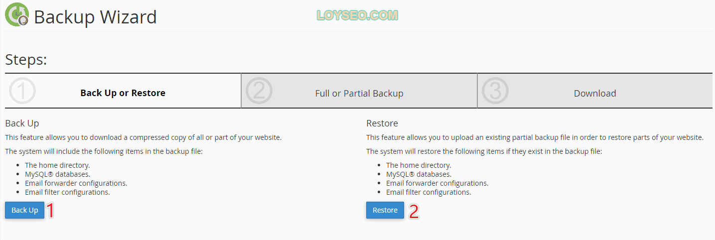 cpanel backup wizard 2