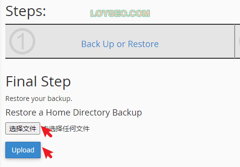 cpanel backup wizard restore backup 2