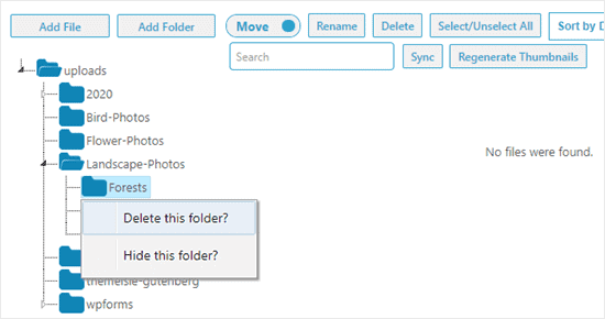 Deleting a folder using the Media Library Folders plugin