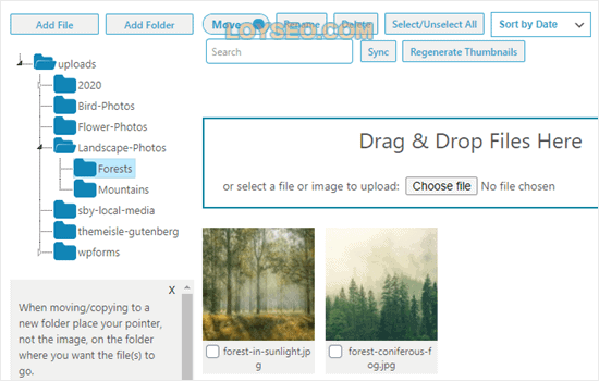 The uploaded images showing in the Forests folder