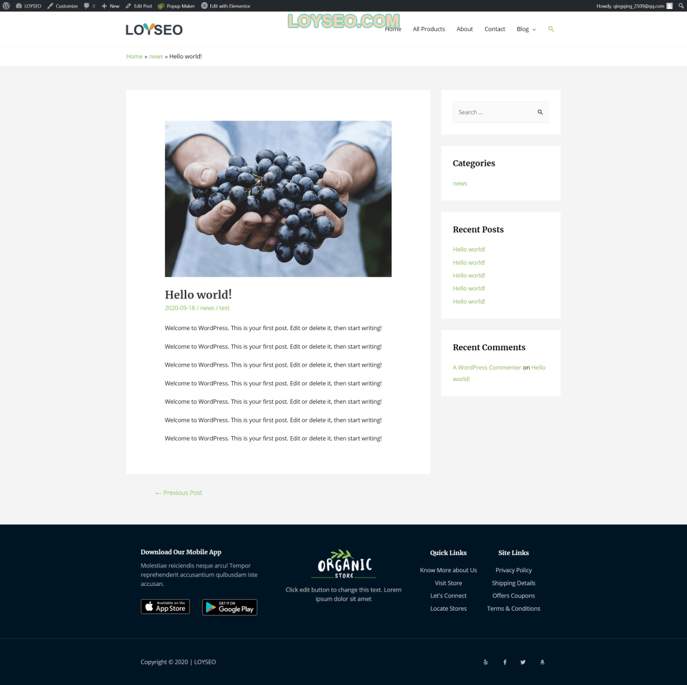 astra post page - Astra主题教程:如何制作B2B外贸独立站 astra post page