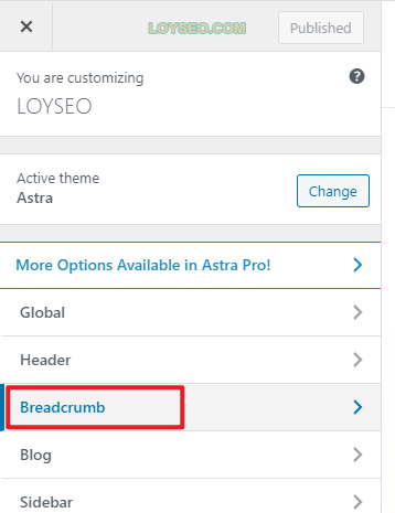 astra tutorial 1 59 - Astra主题教程:如何制作B2B外贸独立站 astra tutorial