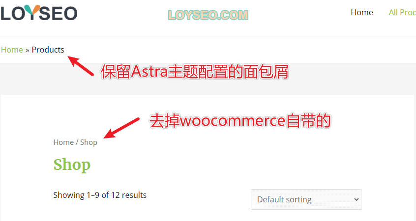 B2B外贸独立站：如何用Astra主题制作