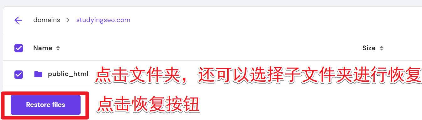 Hostinger主机：建站教程与评测