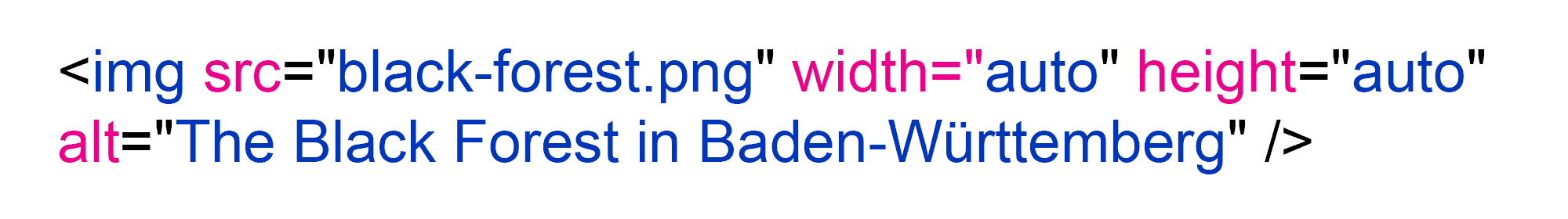 Alt text on an image Alt text on an image