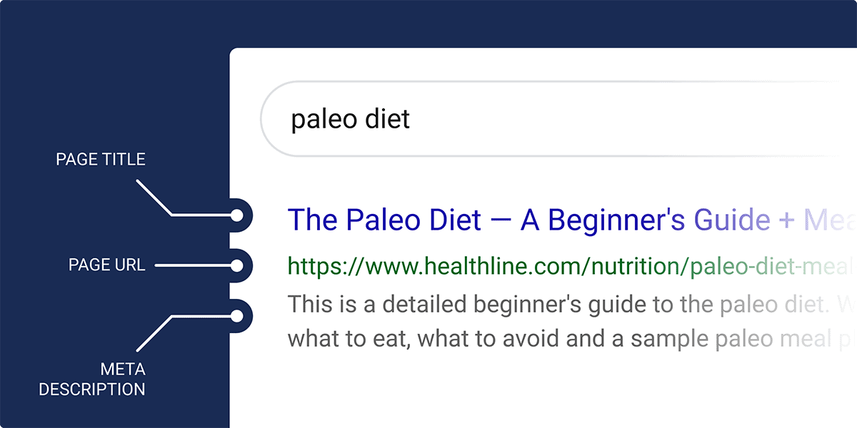organic search results snippet - 什么是SERP? organic search results snippet