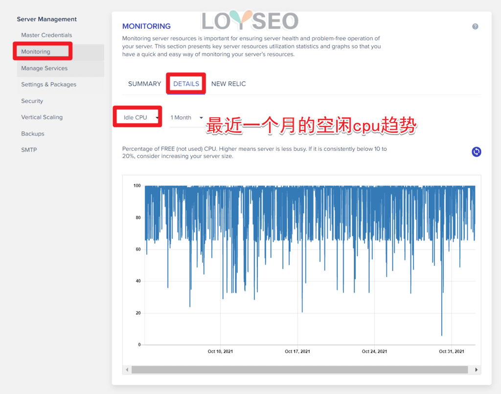 cloudways idle cpu