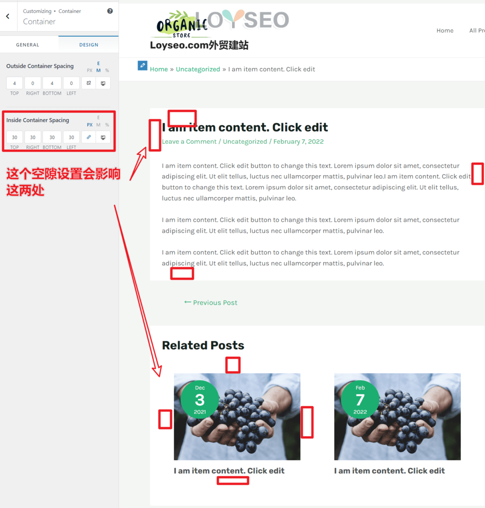 astra pro layout space 2 - Astra主题教程:如何制作B2B外贸独立站 B2B外贸独立站:如何用Astra主题制作