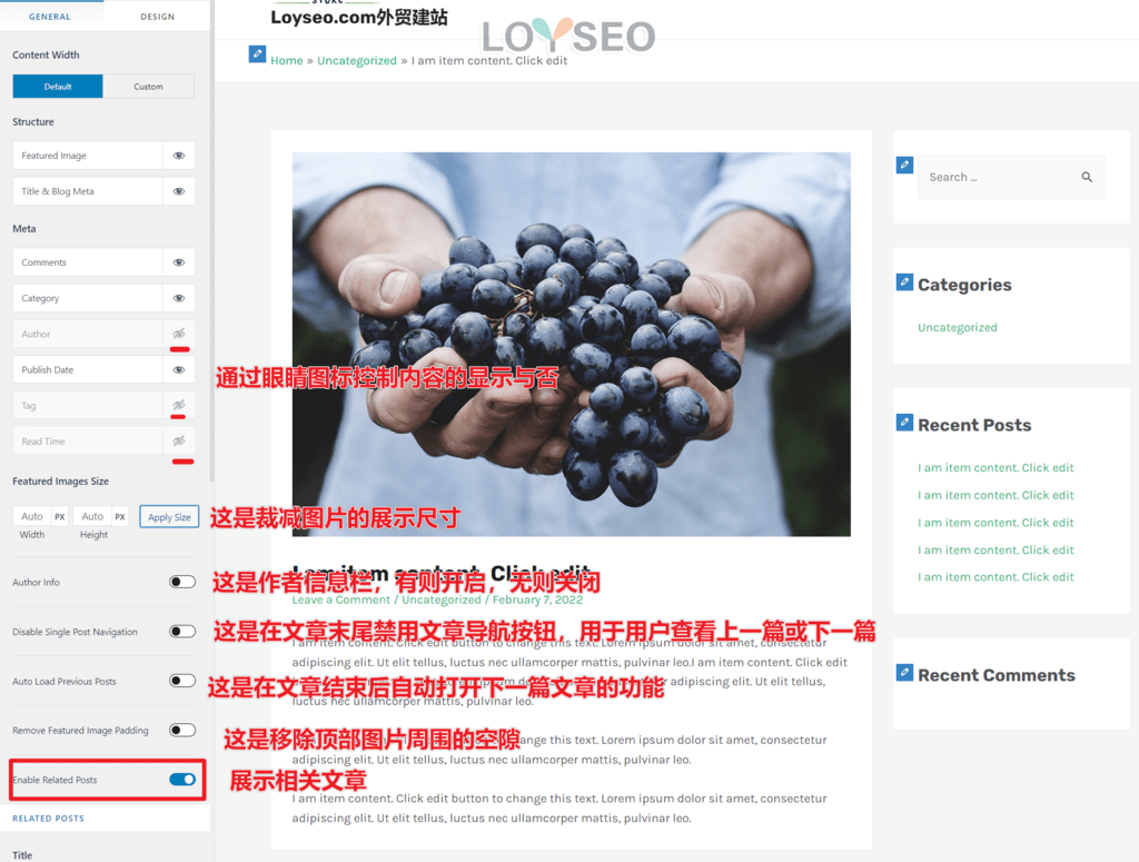 astra pro post setting - Astra主题教程:如何制作B2B外贸独立站 B2B外贸独立站:如何用Astra主题制作