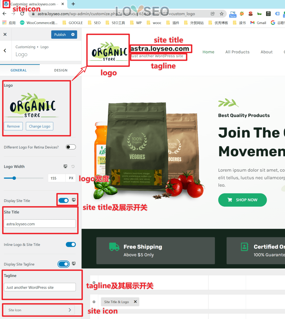 set site title logo - Astra主题教程:如何制作B2B外贸独立站 B2B外贸独立站:如何用Astra主题制作