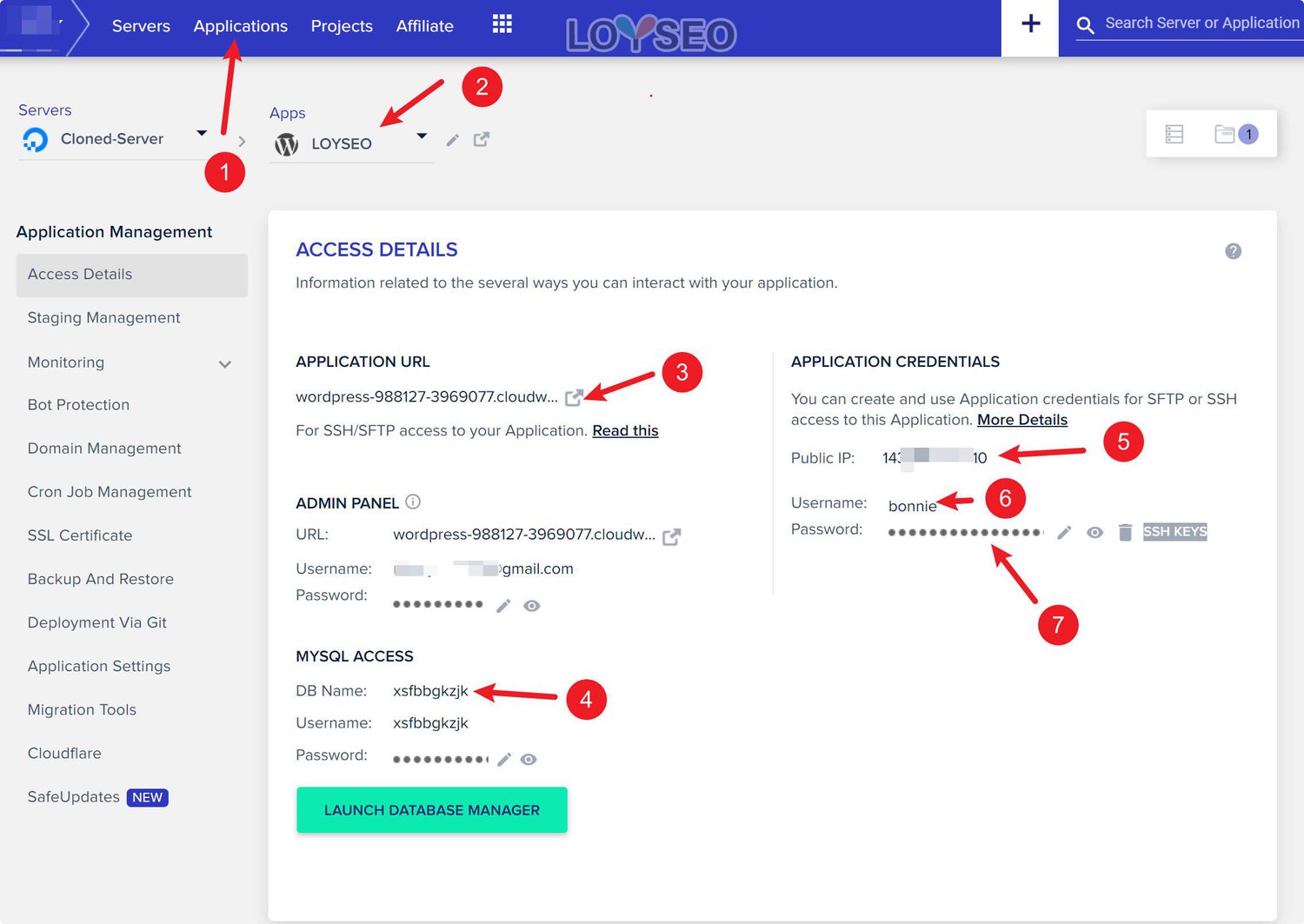 cloudways wordpress migrator setting 2